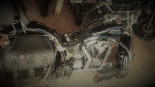 DSC_0340.jpg