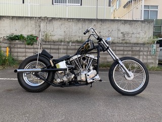 IMG_5200.jpg